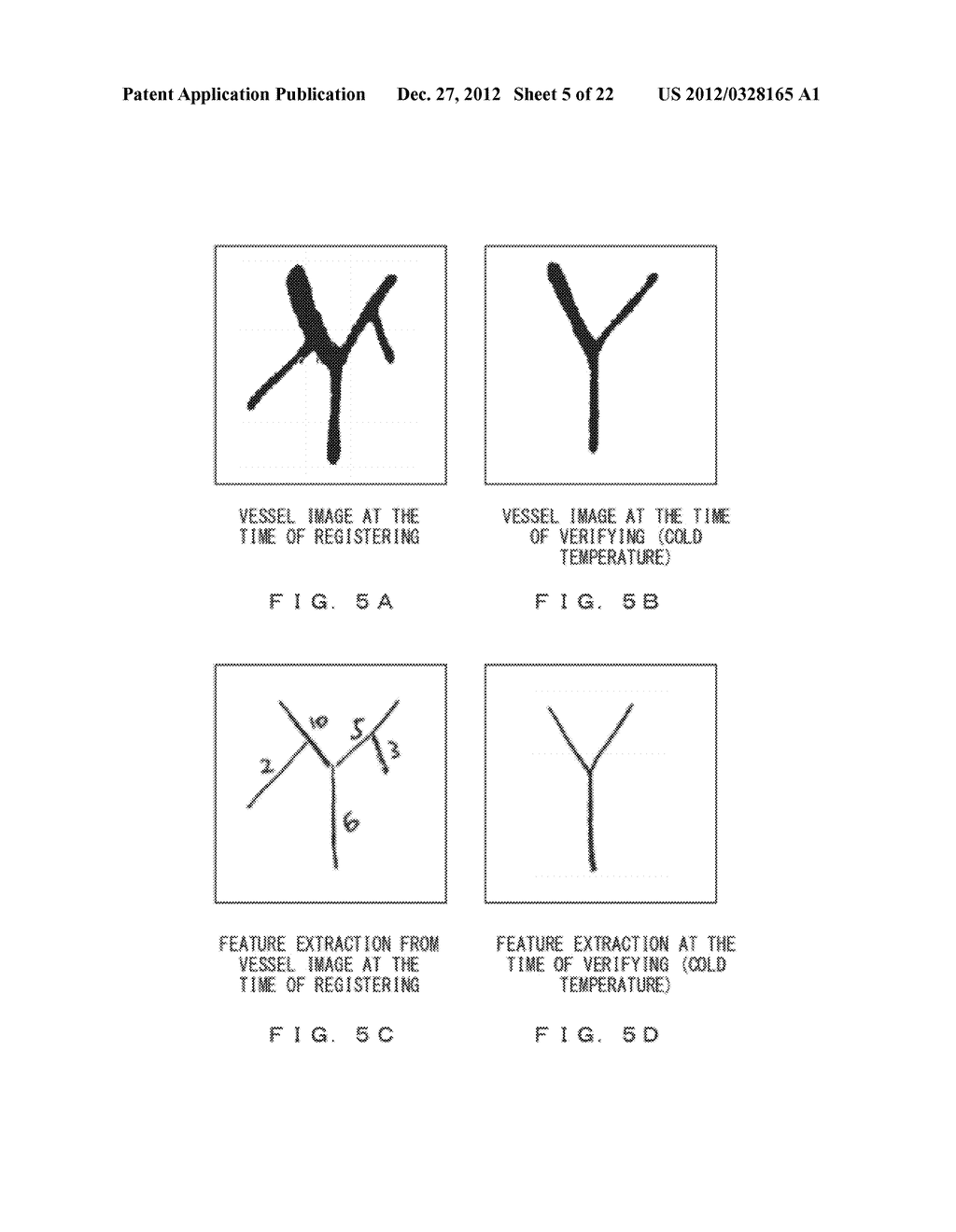 BIOMETRIC AUTHENTICATION APPARATUS AND BIOMETRIC AUTHENTICATION METHOD - diagram, schematic, and image 06