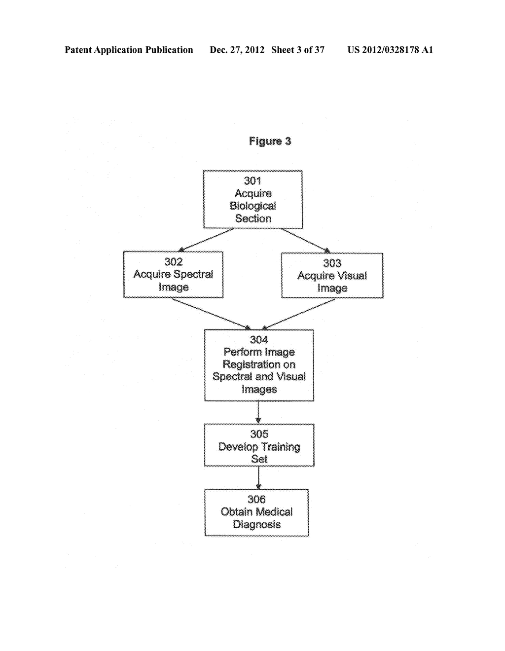 Method for analyzing biological specimens by spectral imaging - diagram, schematic, and image 04