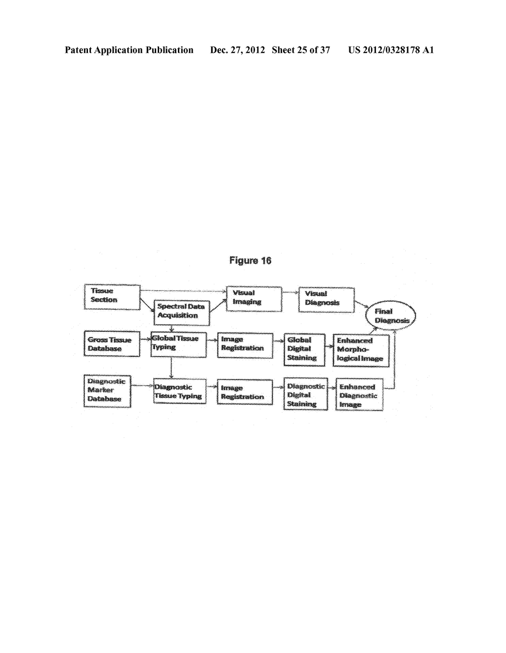 Method for analyzing biological specimens by spectral imaging - diagram, schematic, and image 26