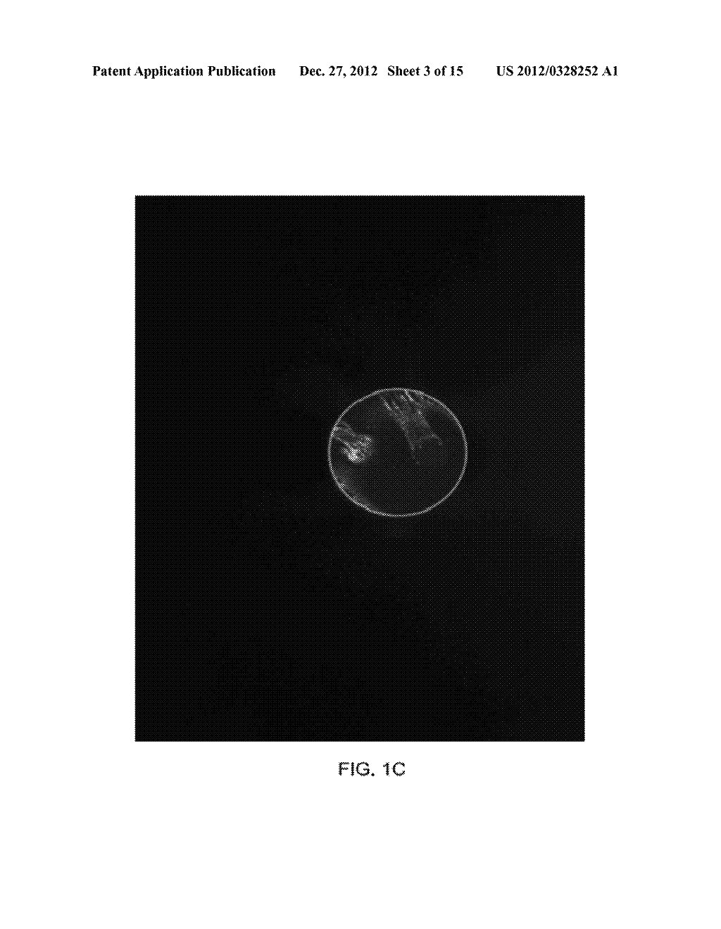 APPARATUS AND METHODS FOR THE DETERMINATION OF A BIREFRINGENCE AXIS OF A     POLARIZATION-MAINTAINING OPTICAL FIBER - diagram, schematic, and image 04