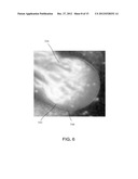 APPARATUS AND METHODS FOR THE DETERMINATION OF A BIREFRINGENCE AXIS OF A     POLARIZATION-MAINTAINING OPTICAL FIBER diagram and image