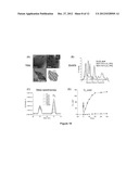 Nanostructured Transition Metal Oxides Useful for Water Oxidation     Catalysis diagram and image