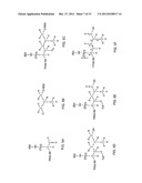 KALLIKREIN-BINDING  KUNITZ DOMAIN  PROTEINS AND ANALOGUES THEREOF diagram and image