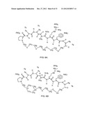 KALLIKREIN-BINDING  KUNITZ DOMAIN  PROTEINS AND ANALOGUES THEREOF diagram and image