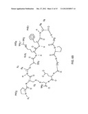 KALLIKREIN-BINDING  KUNITZ DOMAIN  PROTEINS AND ANALOGUES THEREOF diagram and image