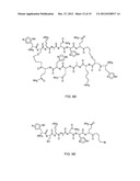 KALLIKREIN-BINDING  KUNITZ DOMAIN  PROTEINS AND ANALOGUES THEREOF diagram and image