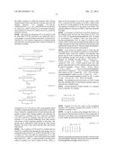 KALLIKREIN-BINDING  KUNITZ DOMAIN  PROTEINS AND ANALOGUES THEREOF diagram and image