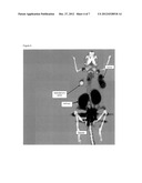 PROSTATE SPECIFIC MEMBRANE ANTIGEN INHIBITORS diagram and image