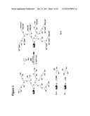 DENTRIC  POLYGLYCEROL SULFATES AND SULFONATES AND THEIR USE FOR     INFLAMMATORY DISEASES diagram and image