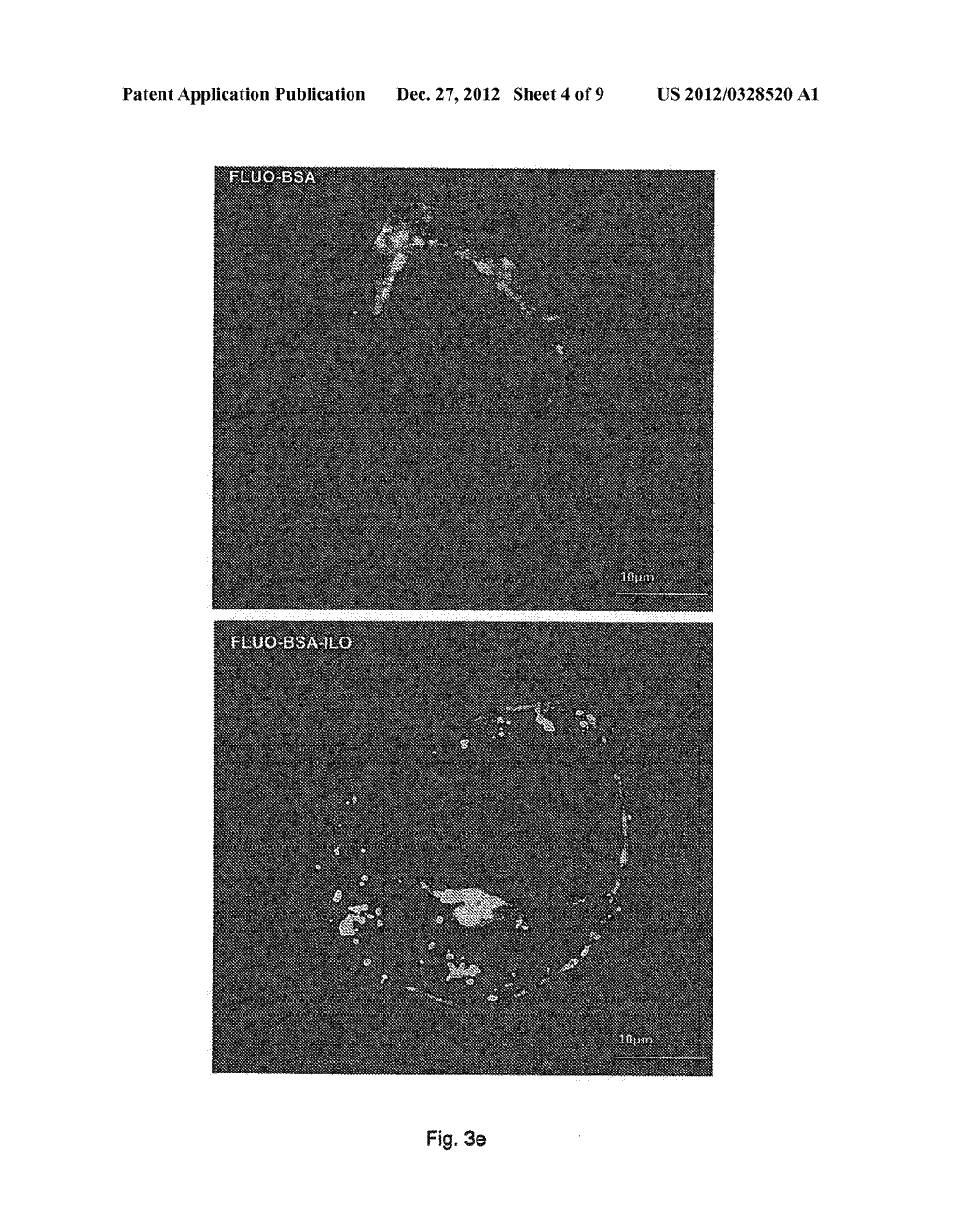 CONJUGATE WITH TARGET-FINDING LIGAND AND USE THEREOF - diagram, schematic, and image 05