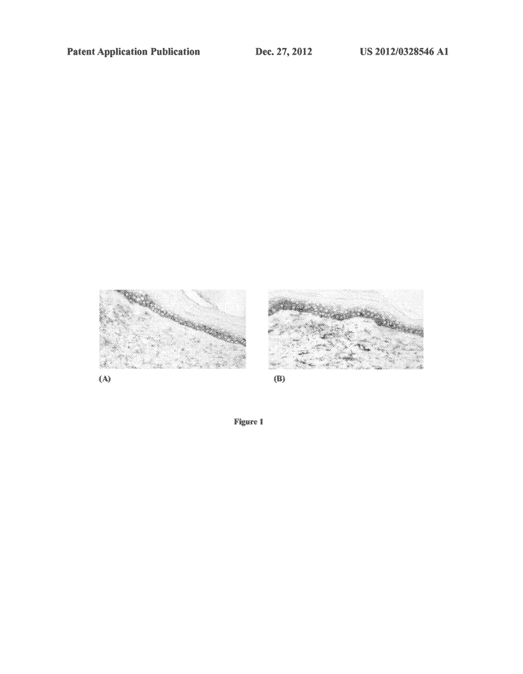 Paxillin Stimulating Compositions and Cosmetic Uses Thereof - diagram, schematic, and image 02