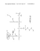 Peptide Based Antimicrobial Coating diagram and image