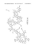 Peptide Based Antimicrobial Coating diagram and image