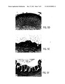 Primate Embryonic Stem Cells diagram and image