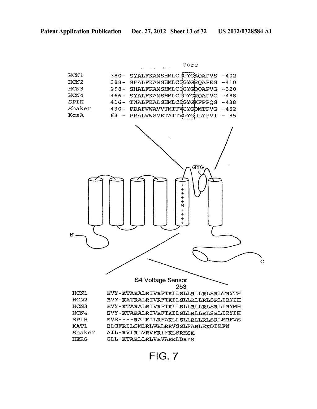 Biological Pacemaker - diagram, schematic, and image 14