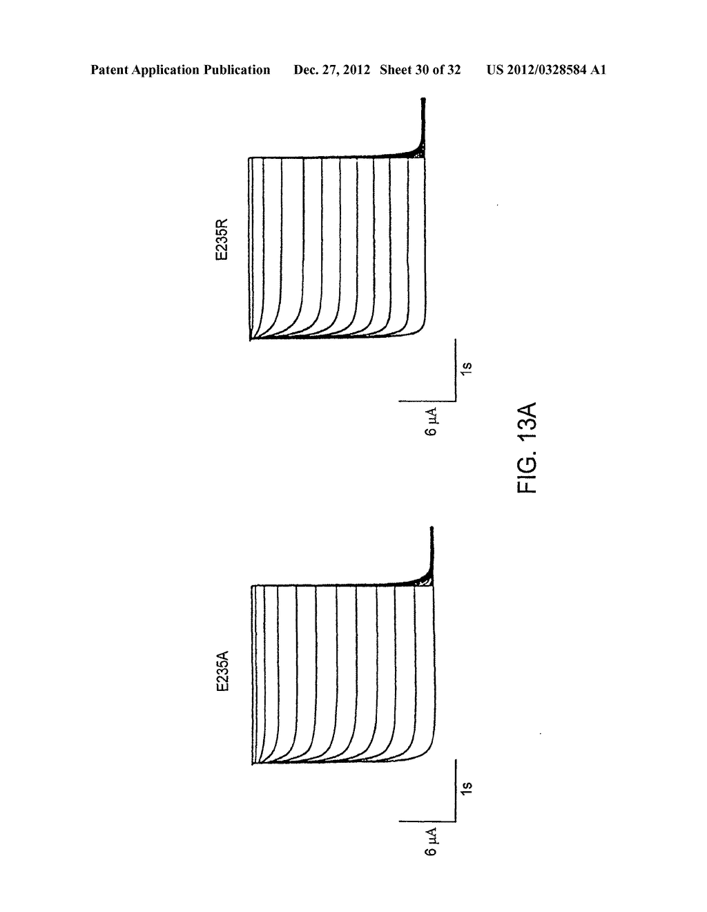 Biological Pacemaker - diagram, schematic, and image 31