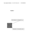 METHODS AND MEANS FOR PROTECTING THE SKIN AGAINST PATHOGENIC     MICROORGANISMS diagram and image