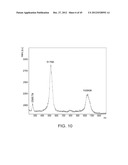 STABILIZED ALPHA-GALACTOSIDASE AND USES THEREOF diagram and image