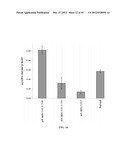 STABILIZED ALPHA-GALACTOSIDASE AND USES THEREOF diagram and image