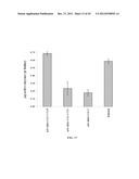 STABILIZED ALPHA-GALACTOSIDASE AND USES THEREOF diagram and image