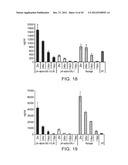 STABILIZED ALPHA-GALACTOSIDASE AND USES THEREOF diagram and image