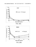 STABILIZED ALPHA-GALACTOSIDASE AND USES THEREOF diagram and image