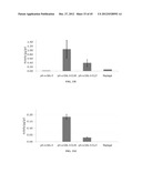 STABILIZED ALPHA-GALACTOSIDASE AND USES THEREOF diagram and image