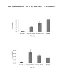 STABILIZED ALPHA-GALACTOSIDASE AND USES THEREOF diagram and image