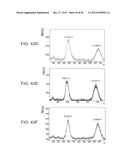 STABILIZED ALPHA-GALACTOSIDASE AND USES THEREOF diagram and image