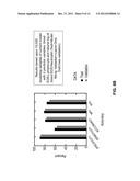 Methods Of Diagnosing And Treating Pulmonary Diseases Or Disorders diagram and image