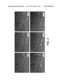 Modulation of Axon Degeneration diagram and image