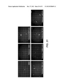 Modulation of Axon Degeneration diagram and image