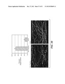 Modulation of Axon Degeneration diagram and image