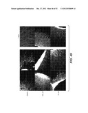 Modulation of Axon Degeneration diagram and image