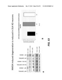 Modulation of Axon Degeneration diagram and image