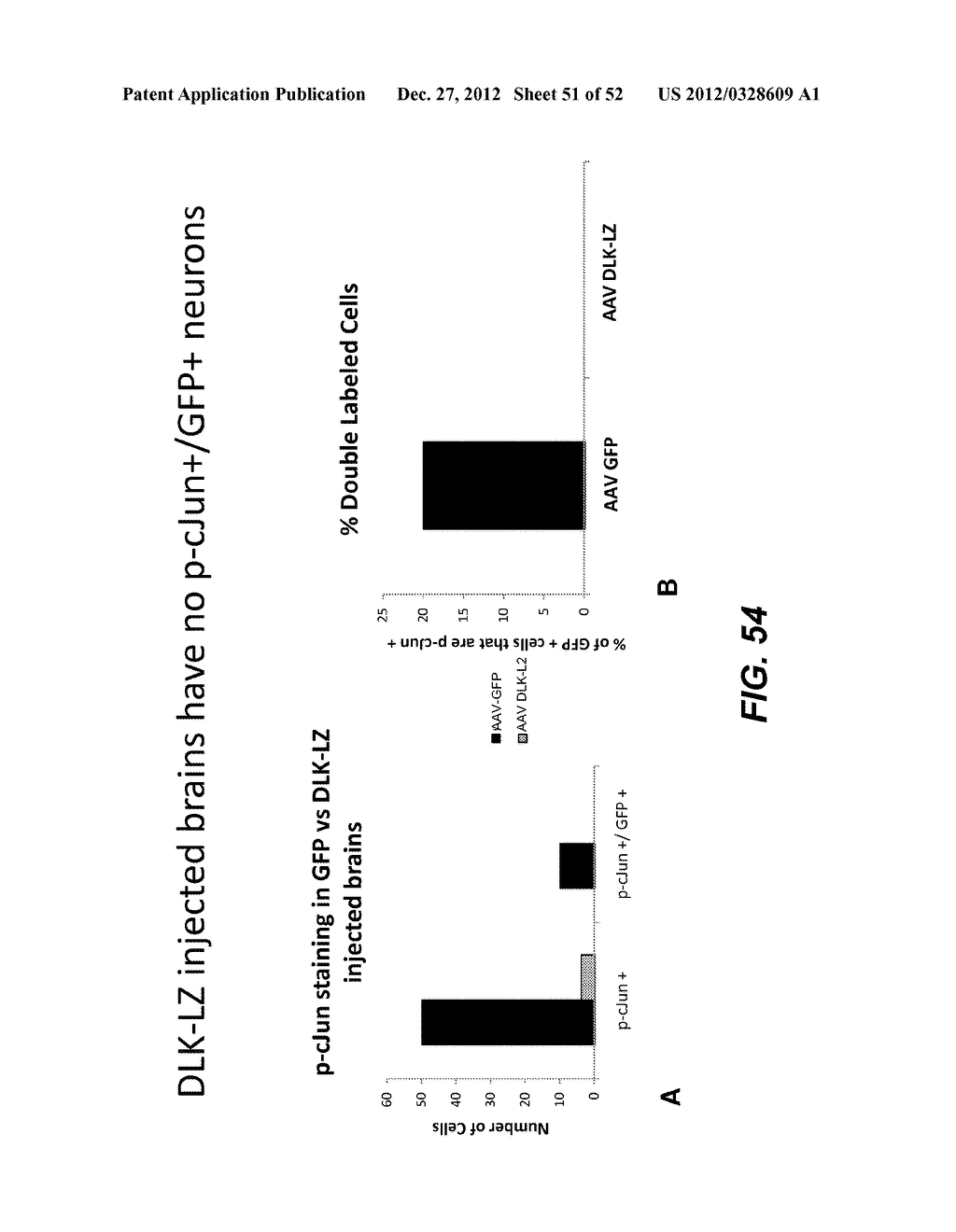 Modulation of Axon Degeneration - diagram, schematic, and image 52