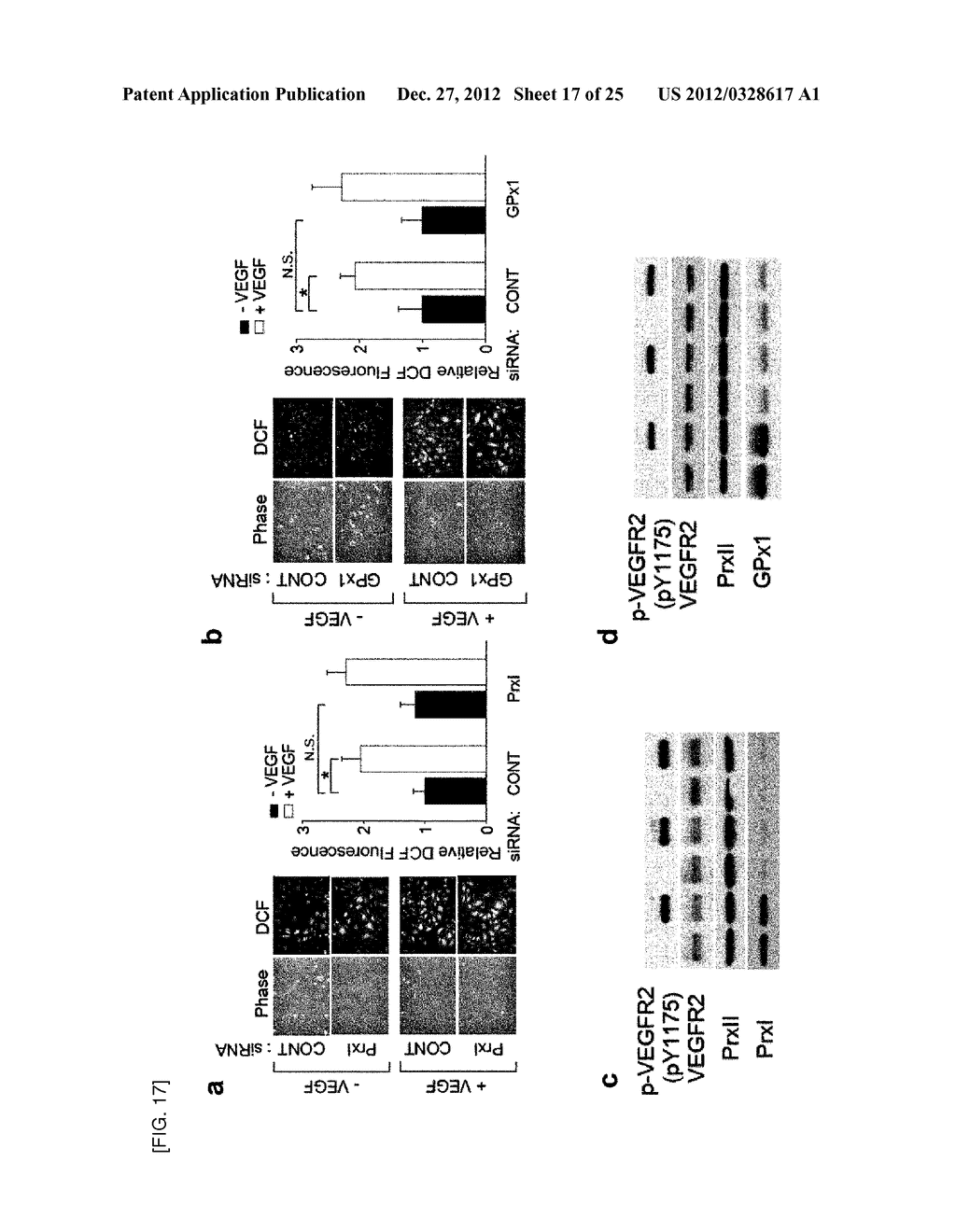 METHOD FOR INHIBITING ANGIOGENESIS - diagram, schematic, and image 18