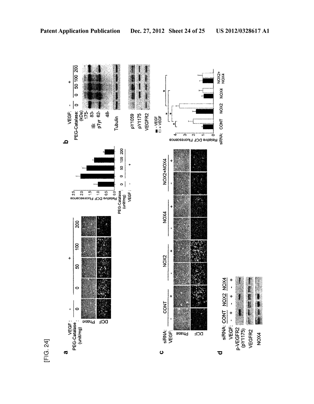 METHOD FOR INHIBITING ANGIOGENESIS - diagram, schematic, and image 25