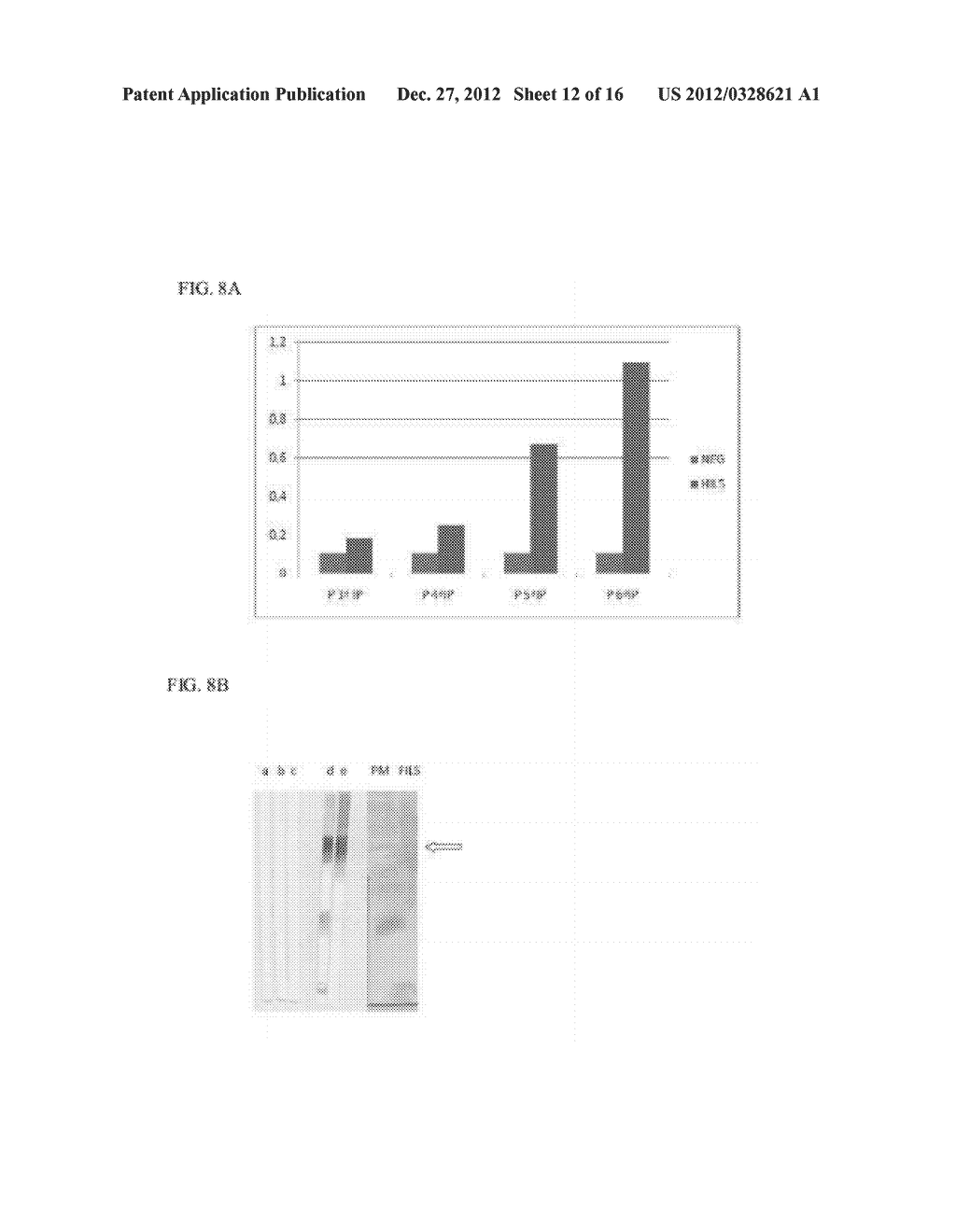 IMMUNOGENS, COMPOSITONS AND USES THEREOF, METHOD FOR PREPARING SAME - diagram, schematic, and image 13