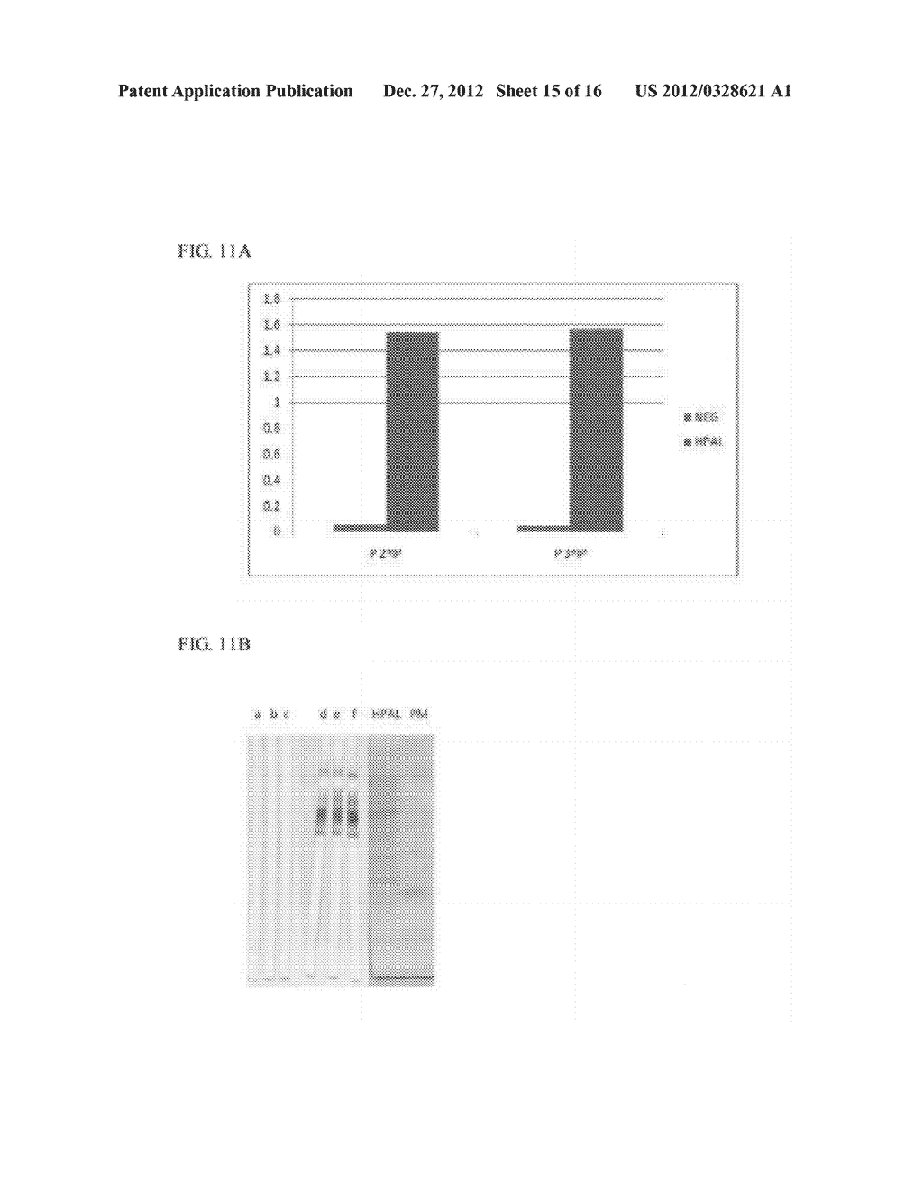 IMMUNOGENS, COMPOSITONS AND USES THEREOF, METHOD FOR PREPARING SAME - diagram, schematic, and image 16