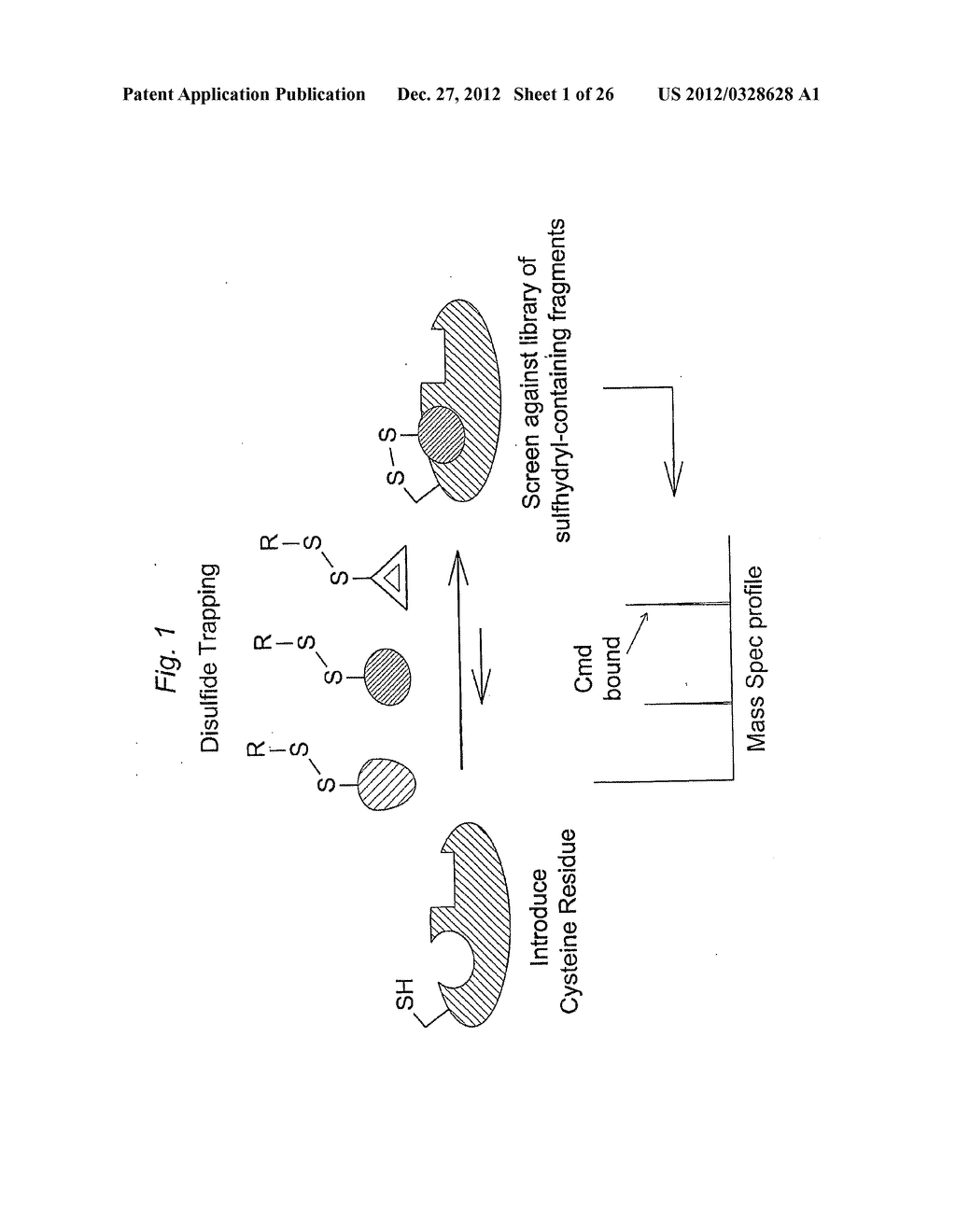 ANTIBODIES TO CONFORMATIONALLY TRAPPED PROTEINS - diagram, schematic, and image 02