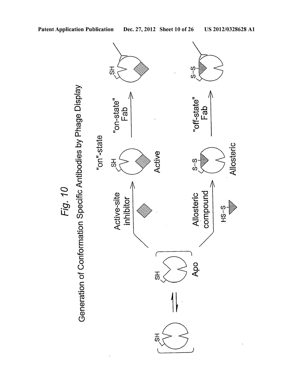 ANTIBODIES TO CONFORMATIONALLY TRAPPED PROTEINS - diagram, schematic, and image 11