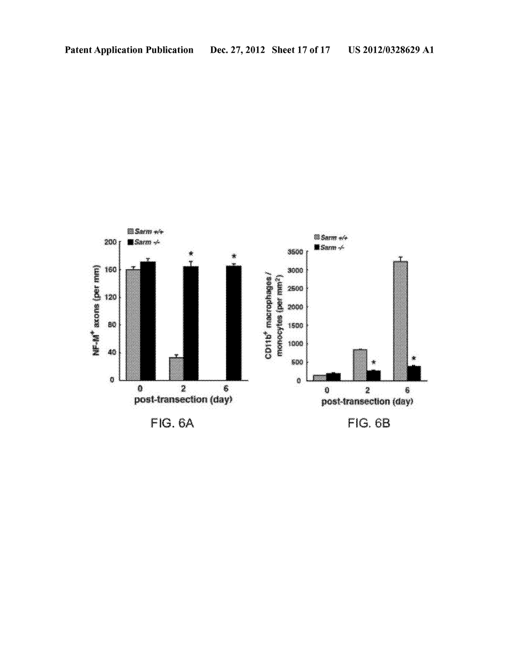 Therapeutic Applications Targeting SARM1 - diagram, schematic, and image 18