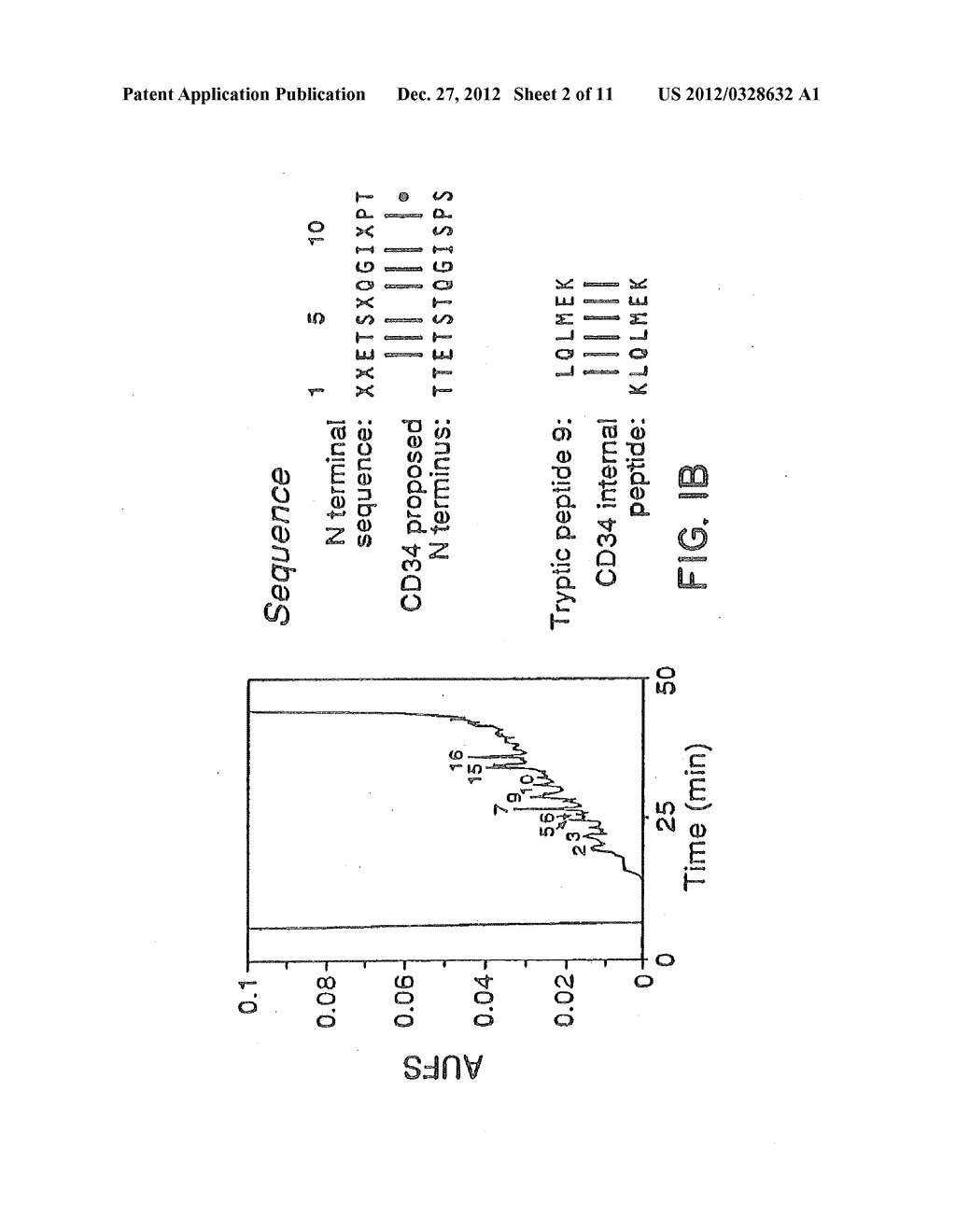 INHIBITION OF LEUKOCYTE ADHESION - diagram, schematic, and image 03