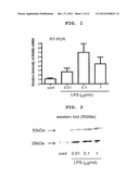 T CELL ACTIVATION INHIBITOR, PHARMACEUTICAL COMPOSITION CONTAINING SAME,     AND SCREENING METHOD FOR T CELL ACTIVATION INHIBITING SUBSTANCE diagram and image