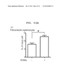 T CELL ACTIVATION INHIBITOR, PHARMACEUTICAL COMPOSITION CONTAINING SAME,     AND SCREENING METHOD FOR T CELL ACTIVATION INHIBITING SUBSTANCE diagram and image