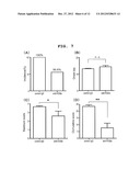 T CELL ACTIVATION INHIBITOR, PHARMACEUTICAL COMPOSITION CONTAINING SAME,     AND SCREENING METHOD FOR T CELL ACTIVATION INHIBITING SUBSTANCE diagram and image