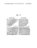 T CELL ACTIVATION INHIBITOR, PHARMACEUTICAL COMPOSITION CONTAINING SAME,     AND SCREENING METHOD FOR T CELL ACTIVATION INHIBITING SUBSTANCE diagram and image