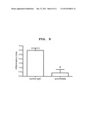 T CELL ACTIVATION INHIBITOR, PHARMACEUTICAL COMPOSITION CONTAINING SAME,     AND SCREENING METHOD FOR T CELL ACTIVATION INHIBITING SUBSTANCE diagram and image