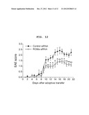 T CELL ACTIVATION INHIBITOR, PHARMACEUTICAL COMPOSITION CONTAINING SAME,     AND SCREENING METHOD FOR T CELL ACTIVATION INHIBITING SUBSTANCE diagram and image